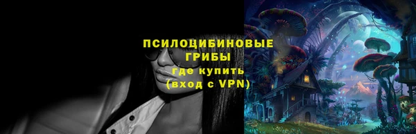 дживик Арсеньев