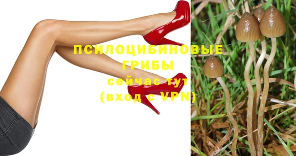 дживик Арсеньев